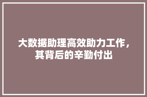 大数据助理高效助力工作，其背后的辛勤付出