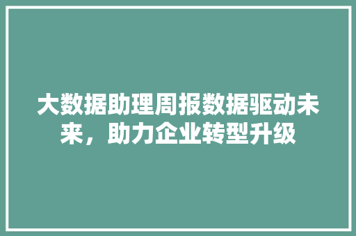 大数据助理周报数据驱动未来，助力企业转型升级