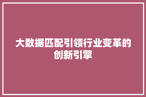 大数据匹配引领行业变革的创新引擎