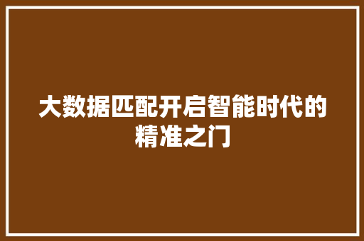 大数据匹配开启智能时代的精准之门