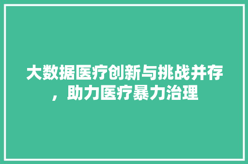 大数据医疗创新与挑战并存，助力医疗暴力治理