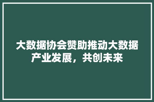 大数据协会赞助推动大数据产业发展，共创未来