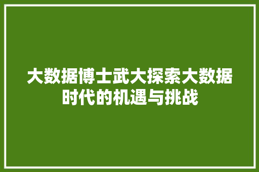 大数据博士武大探索大数据时代的机遇与挑战