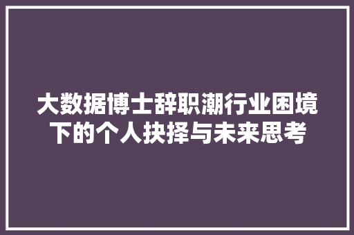 大数据博士辞职潮行业困境下的个人抉择与未来思考 编程语言 大数据博士辞职潮行业困境下的个人抉择与未来思考 编程语言