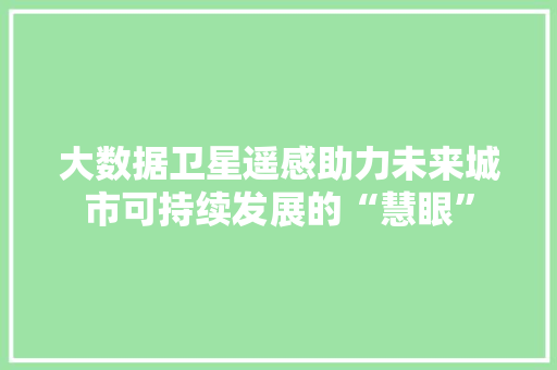 大数据卫星遥感助力未来城市可持续发展的“慧眼”