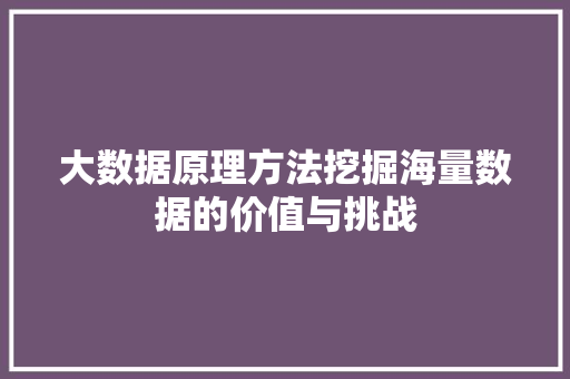 大数据原理方法挖掘海量数据的价值与挑战