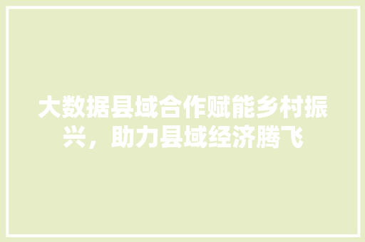 大数据县域合作赋能乡村振兴，助力县域经济腾飞