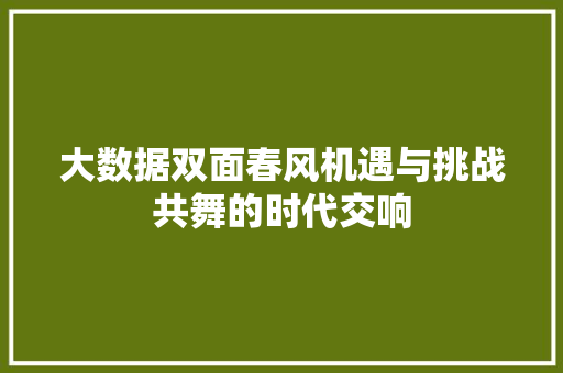 大数据双面春风机遇与挑战共舞的时代交响