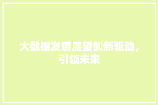 大数据发展展望创新驱动，引领未来