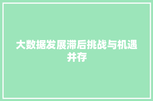 大数据发展滞后挑战与机遇并存