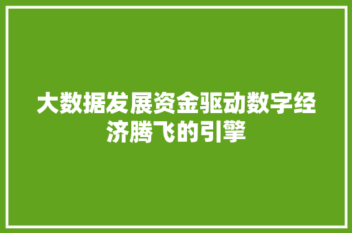 大数据发展资金驱动数字经济腾飞的引擎