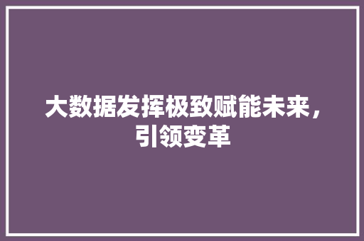 大数据发挥极致赋能未来，引领变革