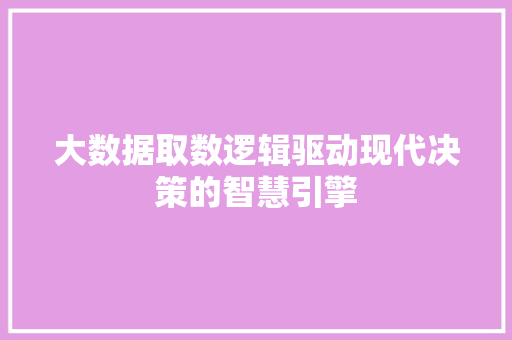 大数据取数逻辑驱动现代决策的智慧引擎