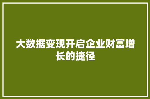 大数据变现开启企业财富增长的捷径 电脑故障维修