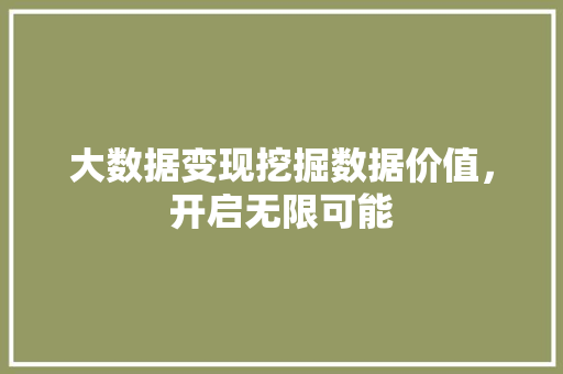 大数据变现挖掘数据价值，开启无限可能