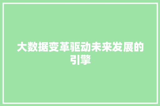 大数据变革驱动未来发展的引擎