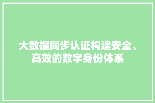 大数据同步认证构建安全、高效的数字身份体系