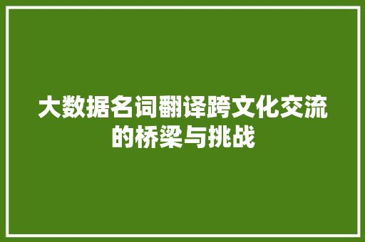 大数据名词翻译跨文化交流的桥梁与挑战