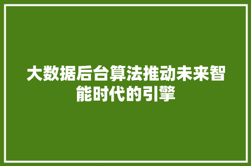 大数据后台算法推动未来智能时代的引擎