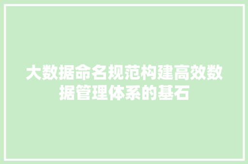 大数据命名规范构建高效数据管理体系的基石 大数据命名规范构建高效数据管理体系的基石