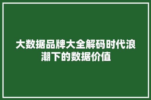 大数据品牌大全解码时代浪潮下的数据价值 大数据品牌大全解码时代浪潮下的数据价值
