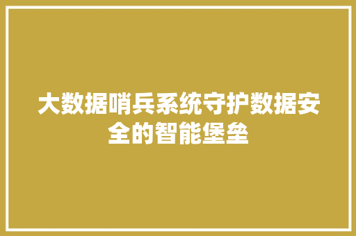大数据哨兵系统守护数据安全的智能堡垒 大数据哨兵系统守护数据安全的智能堡垒