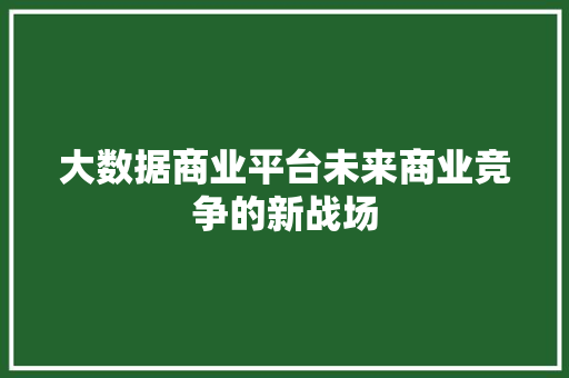 大数据商业平台未来商业竞争的新战场