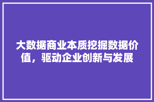 大数据商业本质挖掘数据价值，驱动企业创新与发展