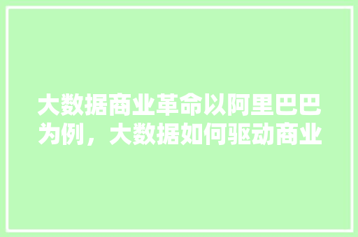 大数据商业革命以阿里巴巴为例，大数据如何驱动商业创新