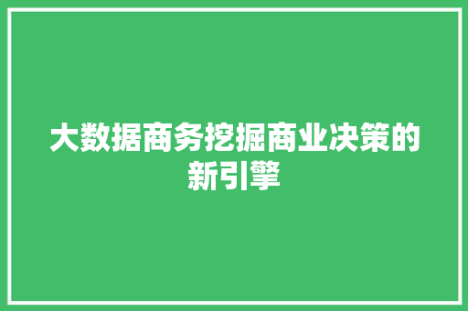 大数据商务挖掘商业决策的新引擎