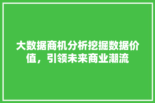 大数据商机分析挖掘数据价值，引领未来商业潮流