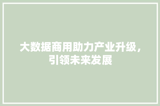 大数据商用助力产业升级，引领未来发展