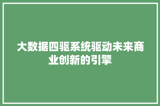 大数据四驱系统驱动未来商业创新的引擎