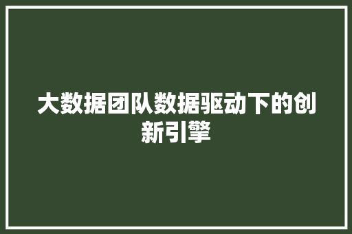 大数据团队数据驱动下的创新引擎