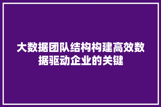 大数据团队结构构建高效数据驱动企业的关键