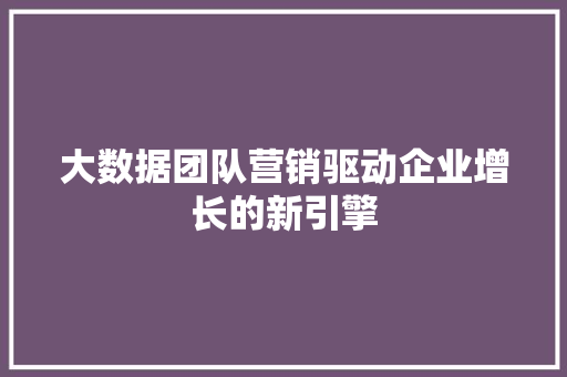 大数据团队营销驱动企业增长的新引擎
