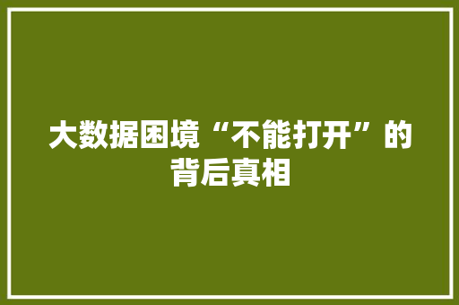 大数据困境“不能打开”的背后真相