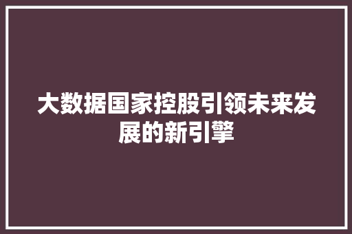 大数据国家控股引领未来发展的新引擎 大数据国家控股引领未来发展的新引擎