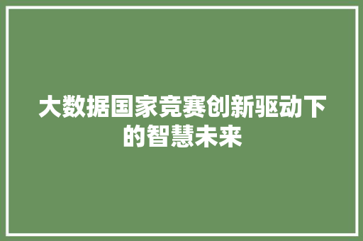 大数据国家竞赛创新驱动下的智慧未来