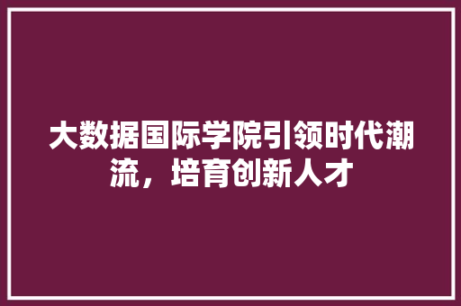大数据国际学院引领时代潮流，培育创新人才