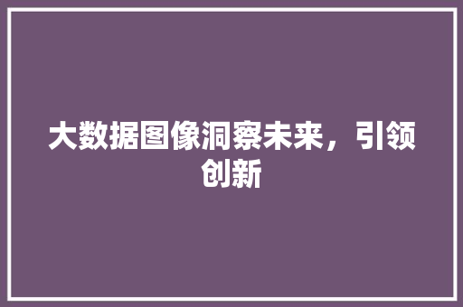 大数据图像洞察未来，引领创新