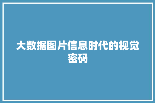 大数据图片信息时代的视觉密码