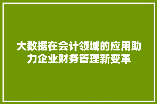 大数据在会计领域的应用助力企业财务管理新变革 操作系统