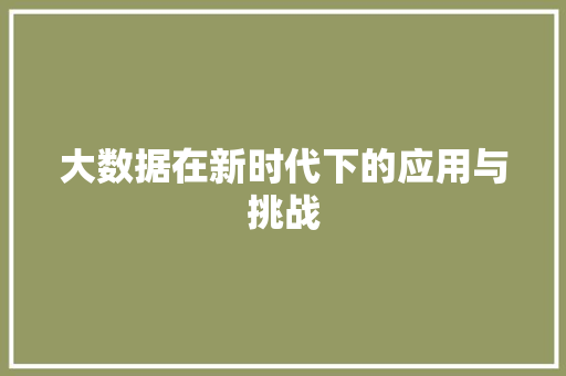 大数据在新时代下的应用与挑战
