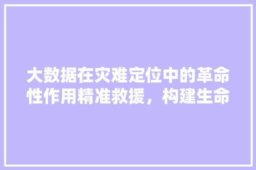 大数据在灾难定位中的革命性作用精准救援，构建生命防线