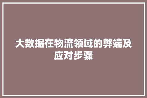 大数据在物流领域的弊端及应对步骤 大数据在物流领域的弊端及应对步骤