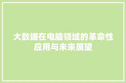 大数据在电脑领域的革命性应用与未来展望 大数据在电脑领域的革命性应用与未来展望