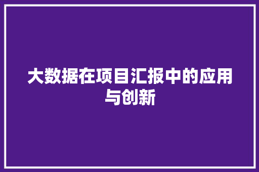 大数据在项目汇报中的应用与创新