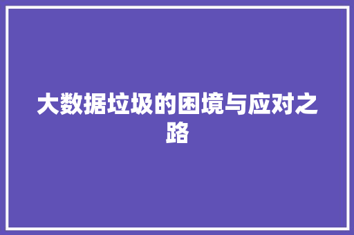 大数据垃圾的困境与应对之路 大数据垃圾的困境与应对之路