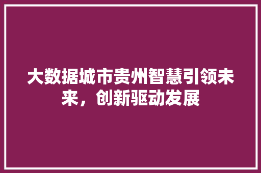 大数据城市贵州智慧引领未来，创新驱动发展